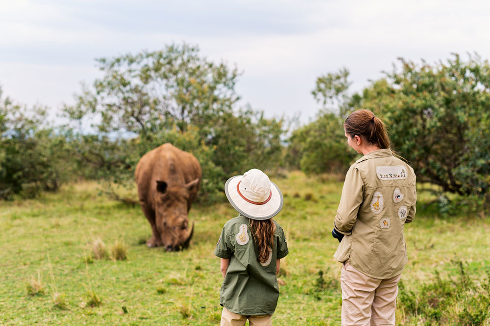 Masai Mara Safari – An Unforgettable Experience